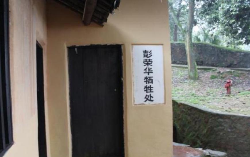 彭老总有两个胞弟，分别是彭金华、彭荣华。15岁的时候，彭老总因为参与了饥民闹粜，