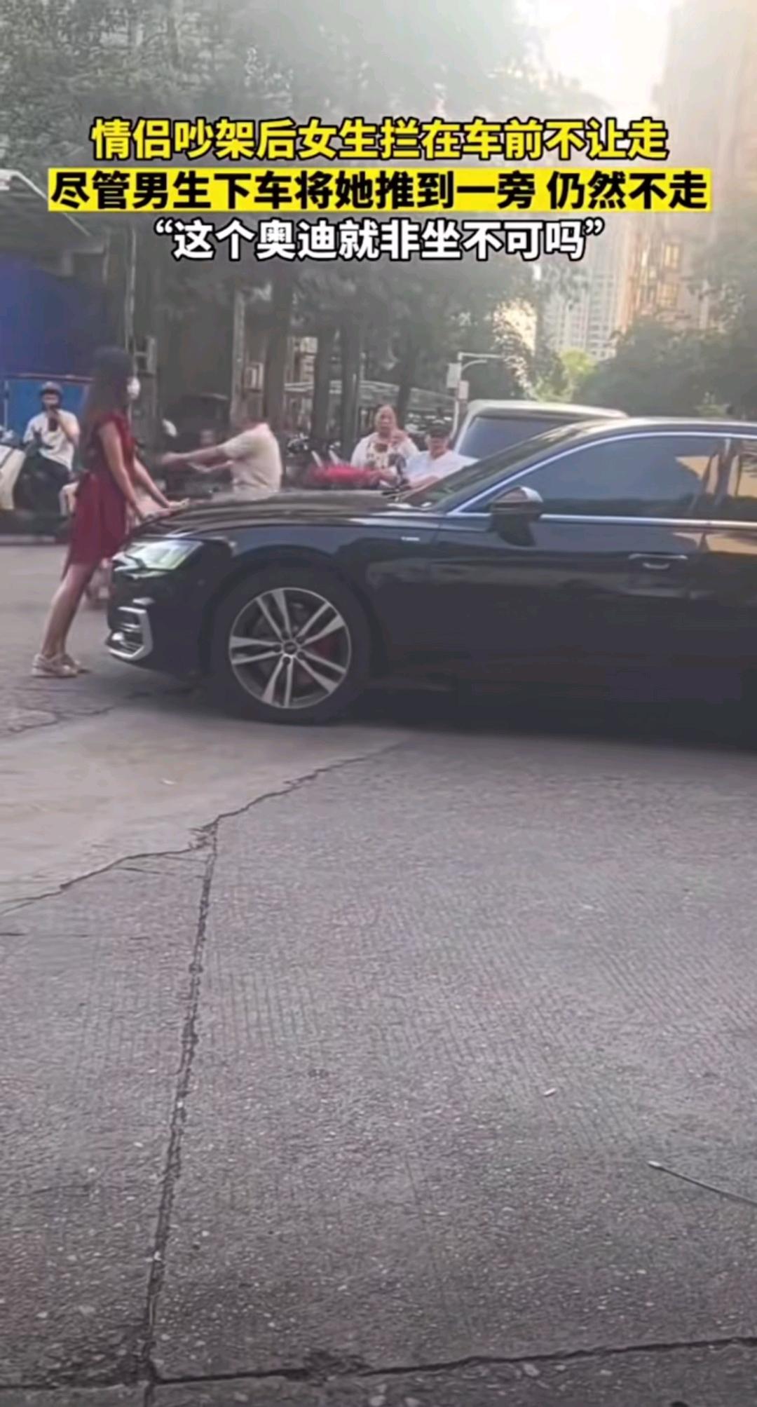 车是铁壳子做的
心是肉长的
 
一个非要走
一个死拦着
钢铁车身对着血肉之躯
谁