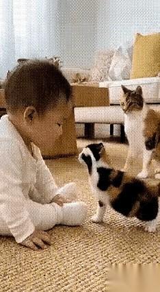 “啪！”
一声脆响，小孩那只肉乎乎、正要往前摸的手，猛地缩了回来。
空气凝固了一