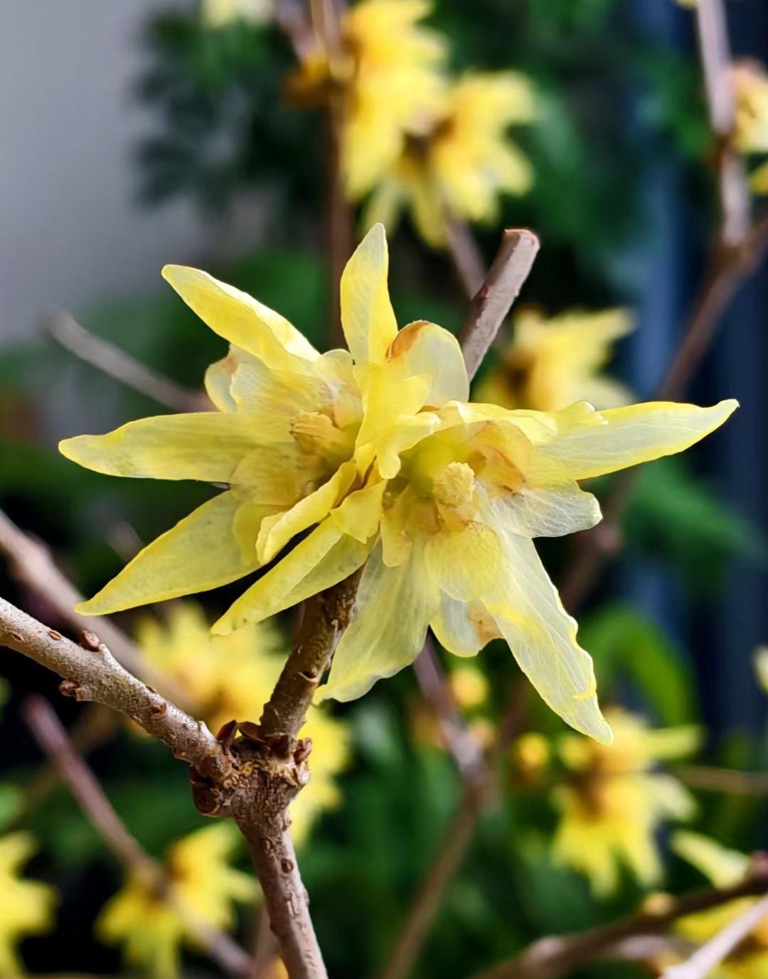 赚零花钱
说实话啊，友友们，一开始来头条真就奔着那点小钱来的，没别的心思。结果写