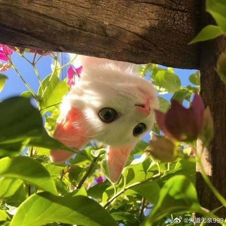 所有的危险都是因为不重视，忽视险害程度引起的。体现在八字命局中，不好的大运来临前