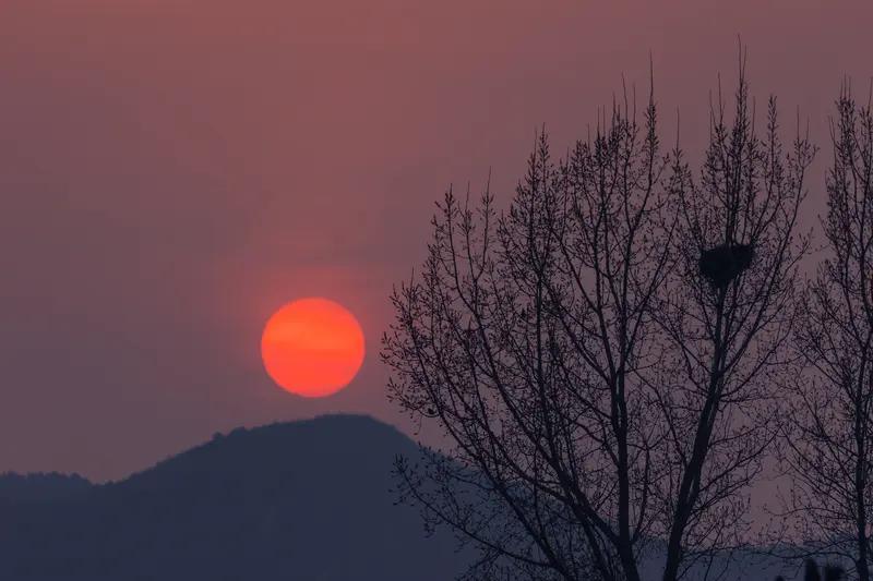 “车头是梦想，车尾是故乡”，这句话太戳心了。有摄影师拍的游子开车过境安徽返岗视频