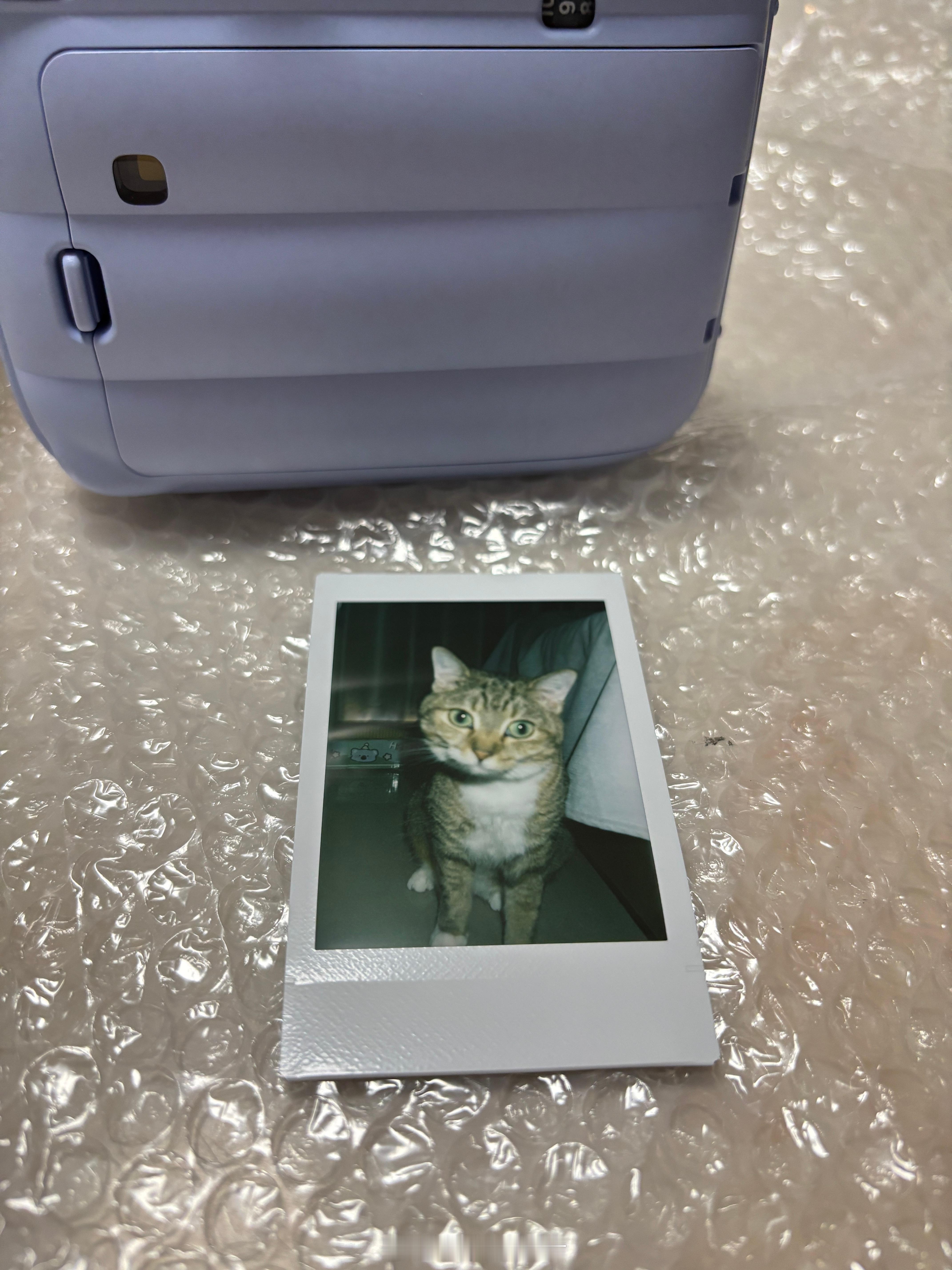 用披萨开光