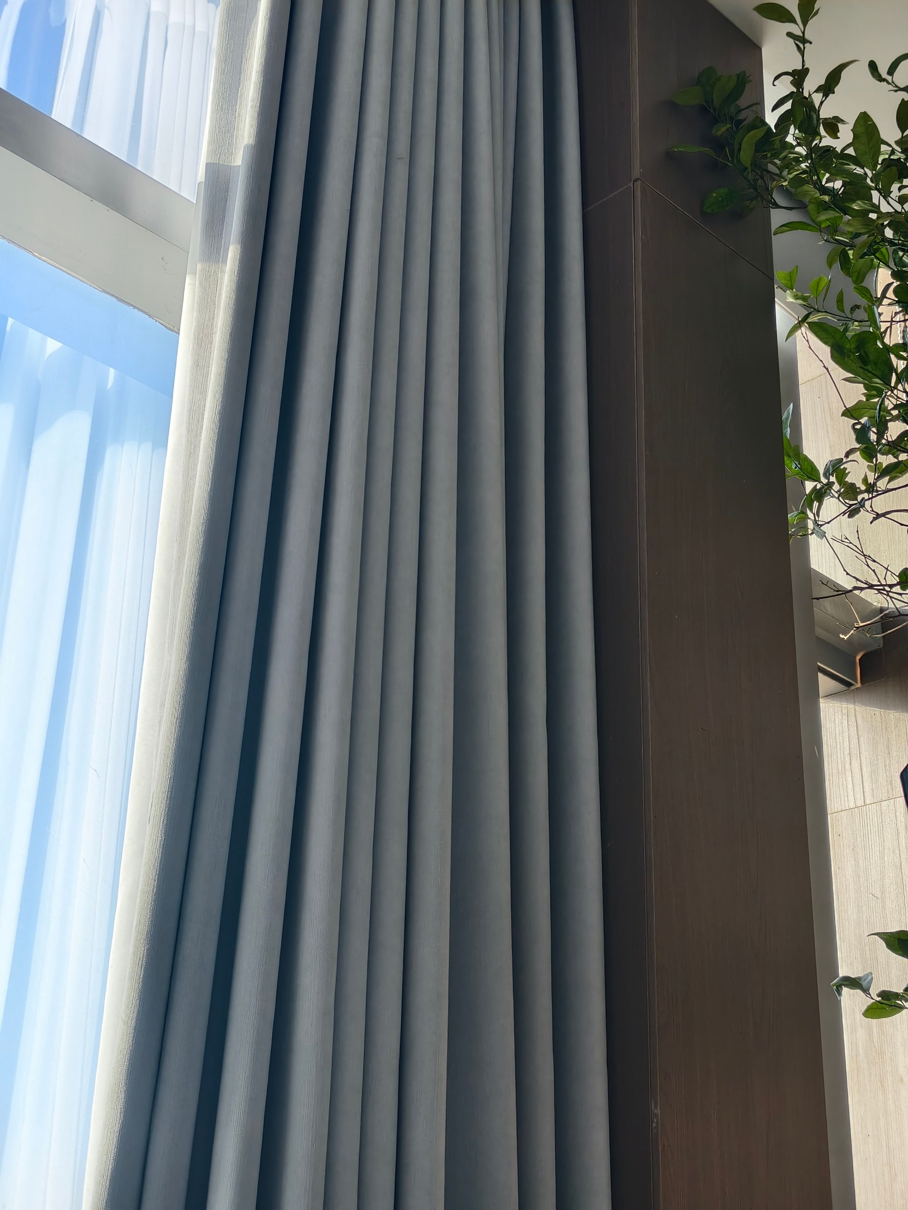 晒太阳也很安逸啊！ 