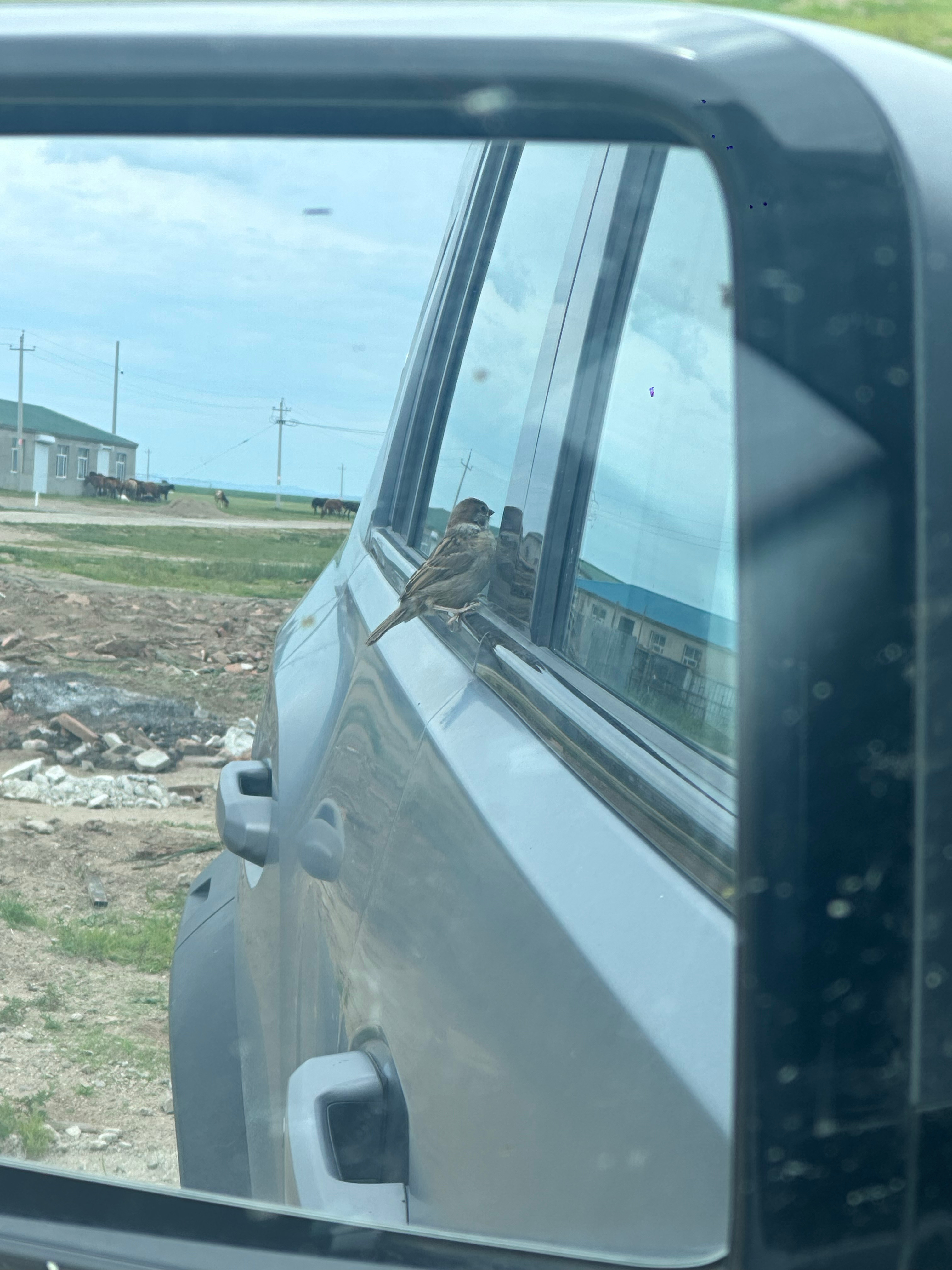 🐦：你好 搭个便车🚕 