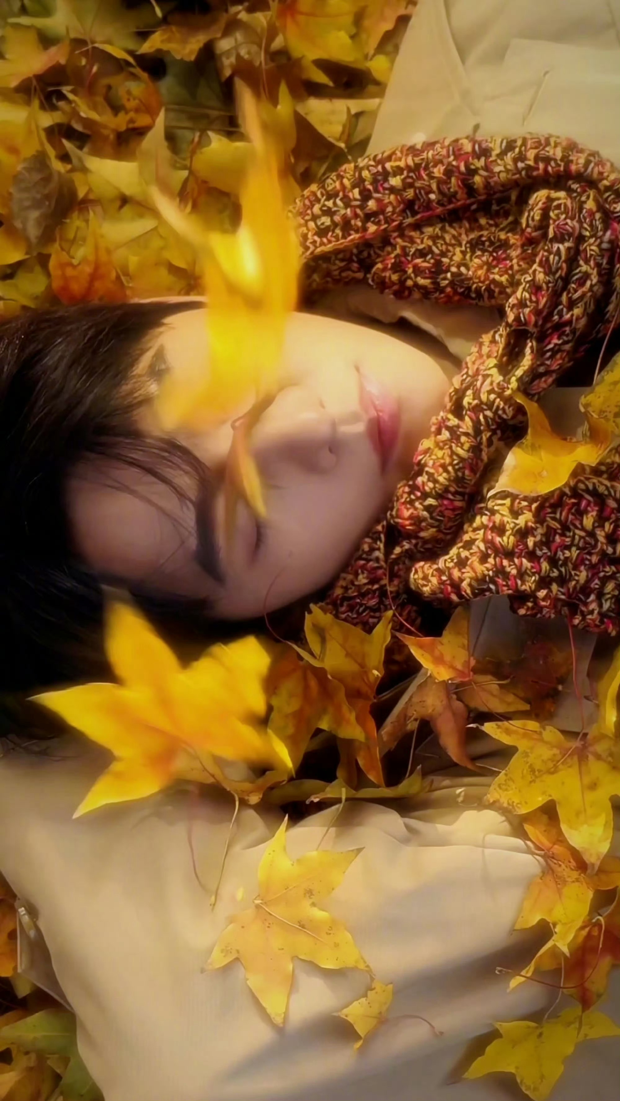 杨洋刷新了我的手机颜值，这么帅气的一张脸，壁纸有啦！ ​​​