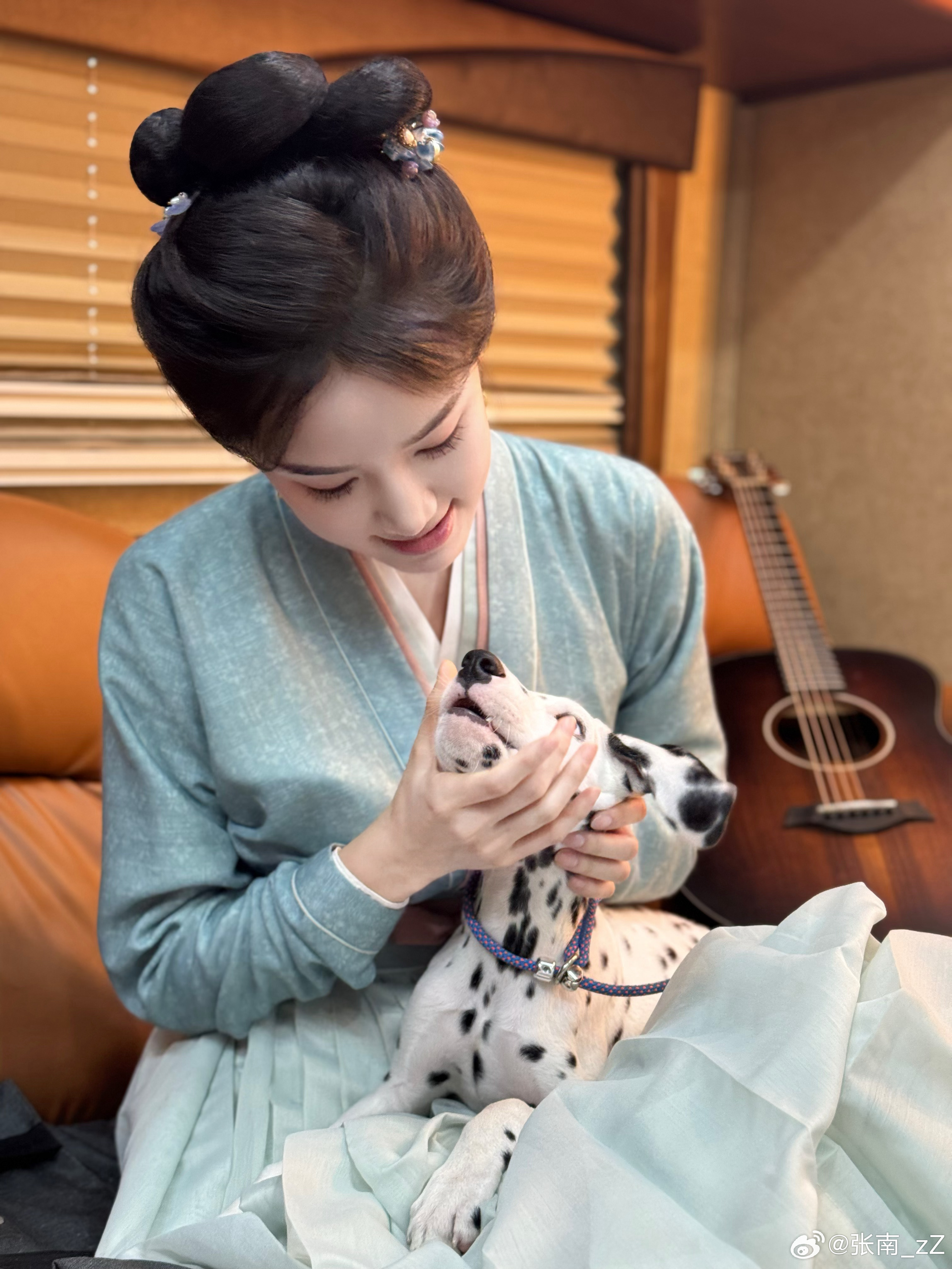 八鸽八鸽定风波 ​​​