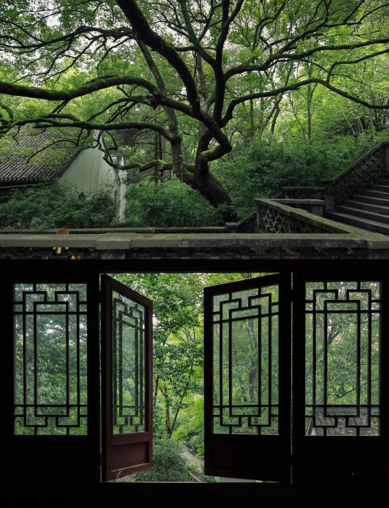 阴雨天的虎跑也很有感觉
这段时间杭州一直阴雨为主，很多来到杭州的小伙伴，一时间不