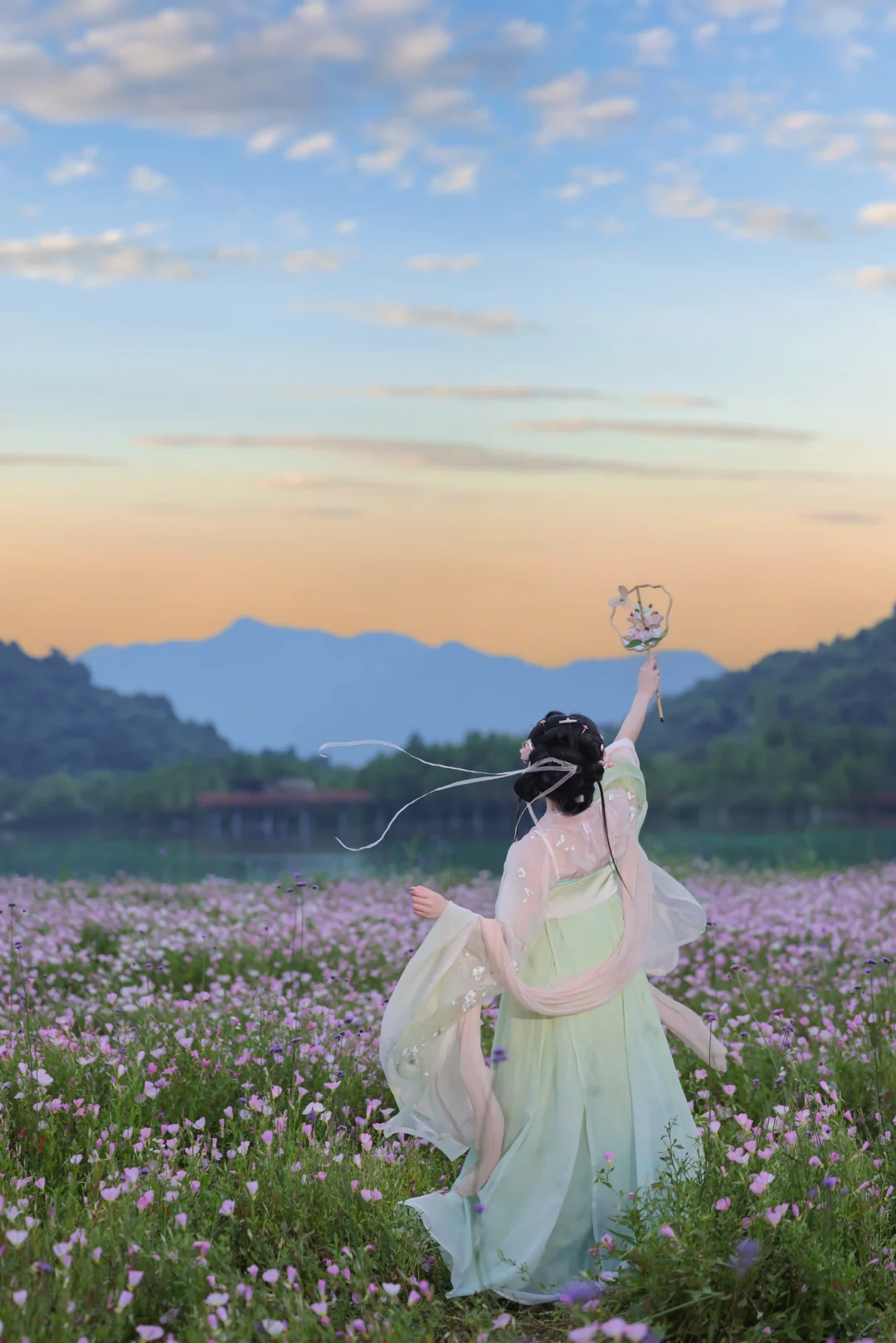 月见草，独属于五月的浪漫