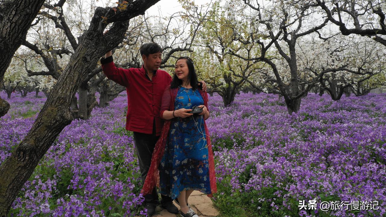 财富自由，有一个健康的身体。