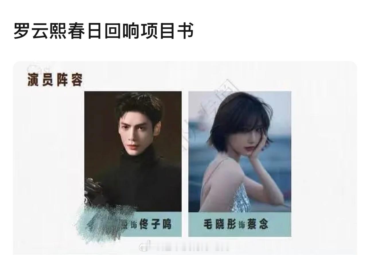 罗云熙《春日回响》项目书都来了 