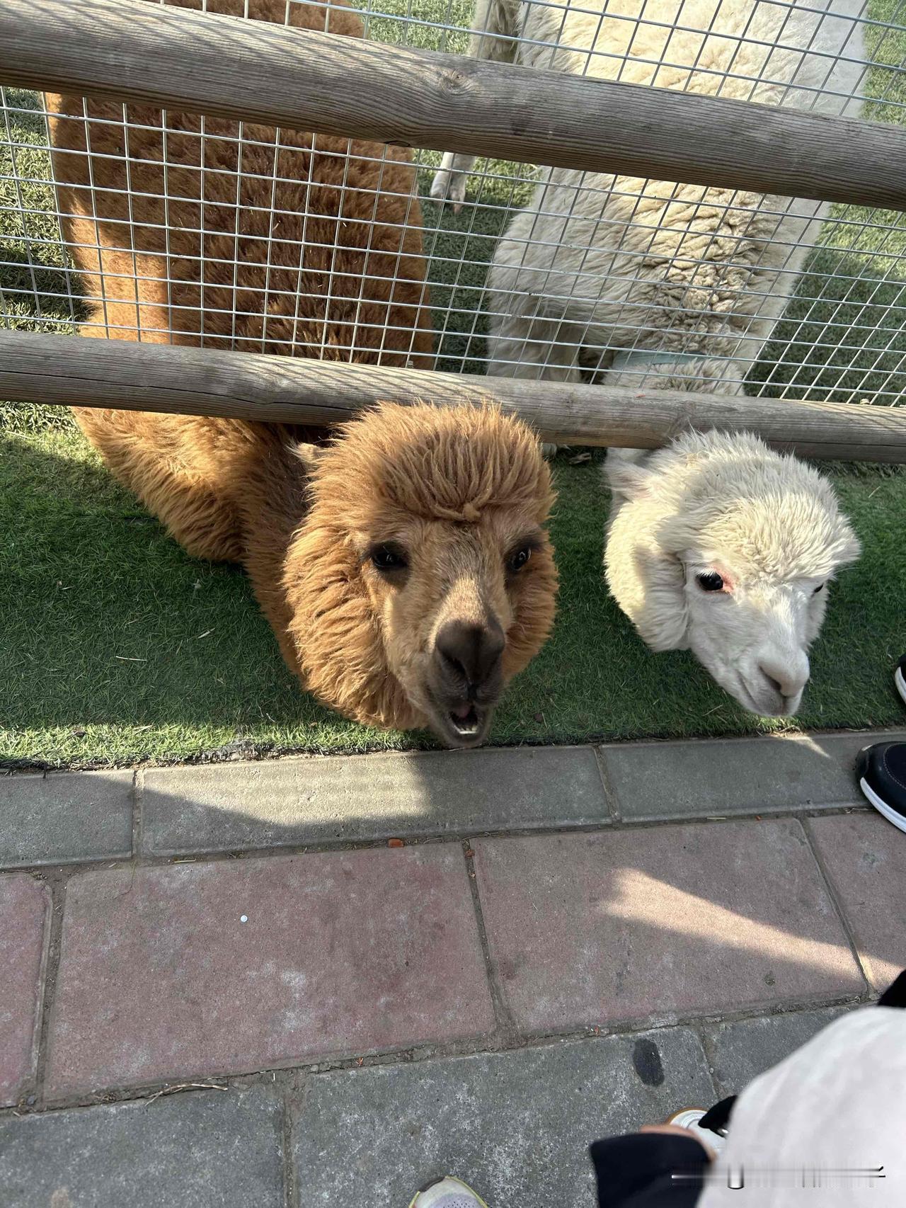 过着过着就55周岁了，街道来电话可以申领一次性独生子女补贴了！

我们70后，作