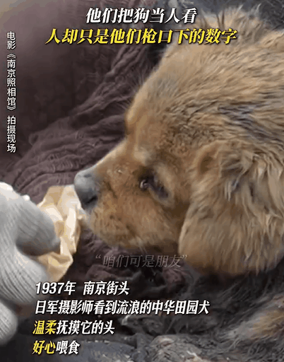 见狗流泪见人举枪《南京照相馆》对日军摄影师的刻画真的很复杂。 ​​​
