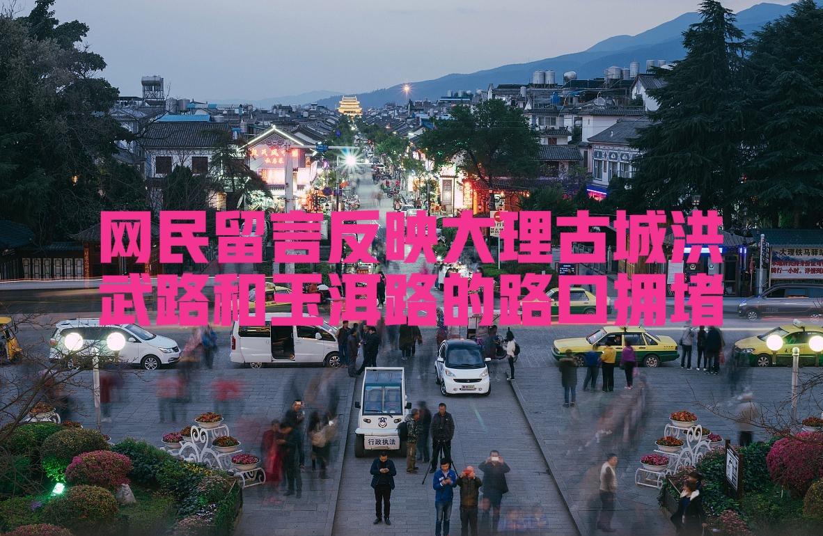 网民留言反映大理古城洪武路和玉洱路的路口交通混乱拥堵建议加强监管

✍📩📨3