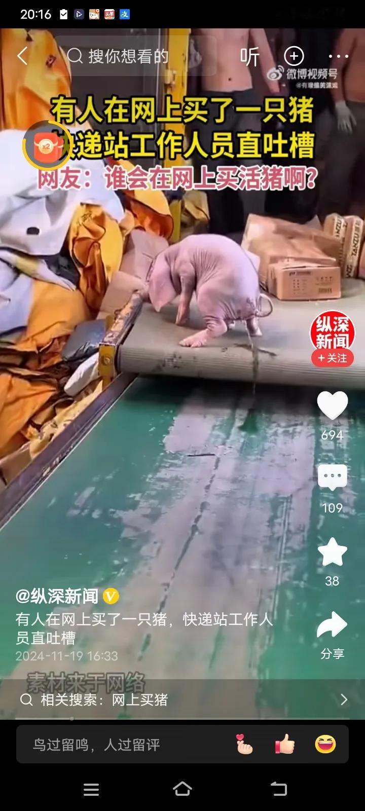 河南的网友透露，竟然有人在网上购买一只活猪仔，在快递站的分拣带上活蹦乱跳的，更有