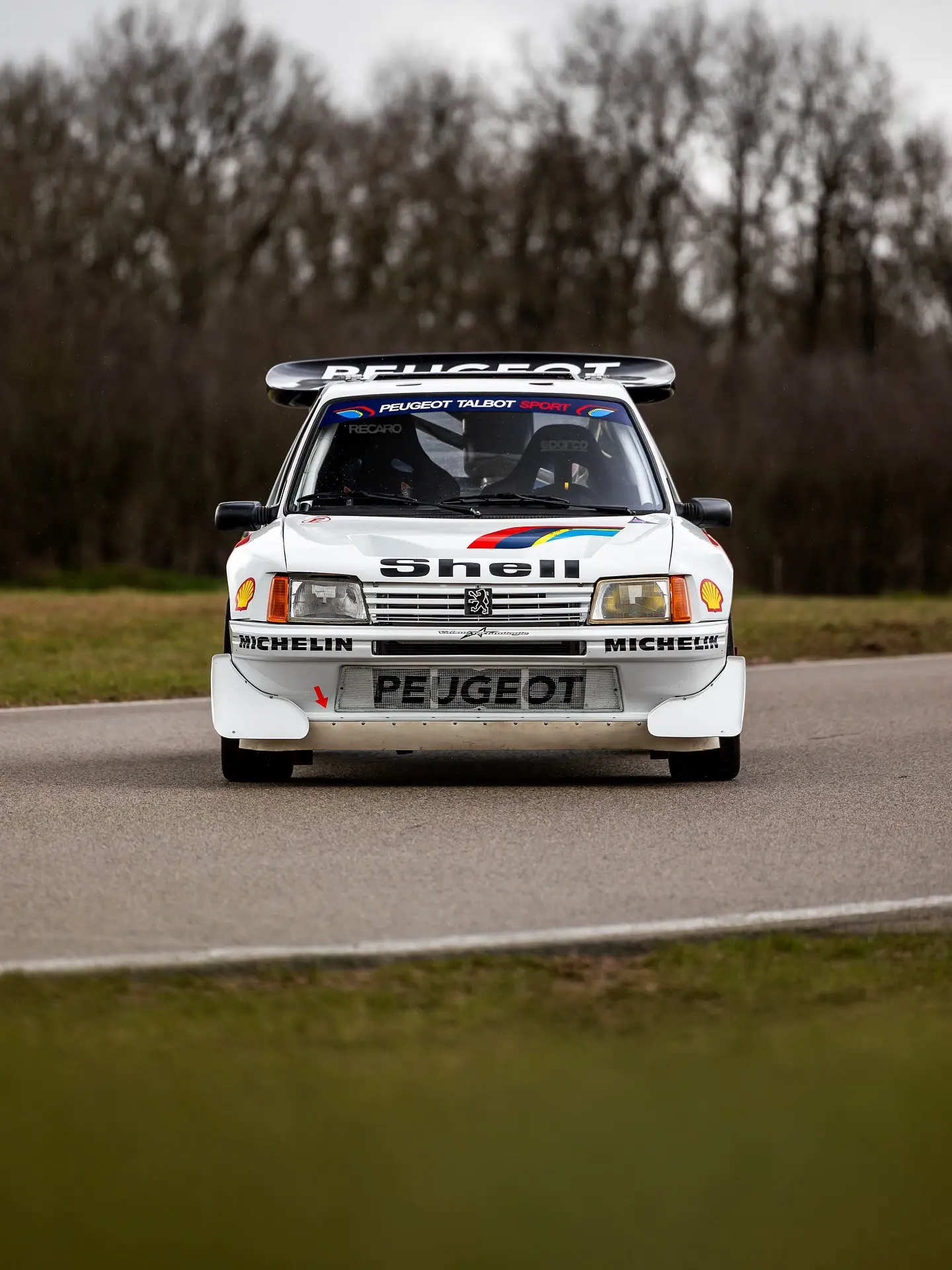 标致 205 TURBO 16 EVO