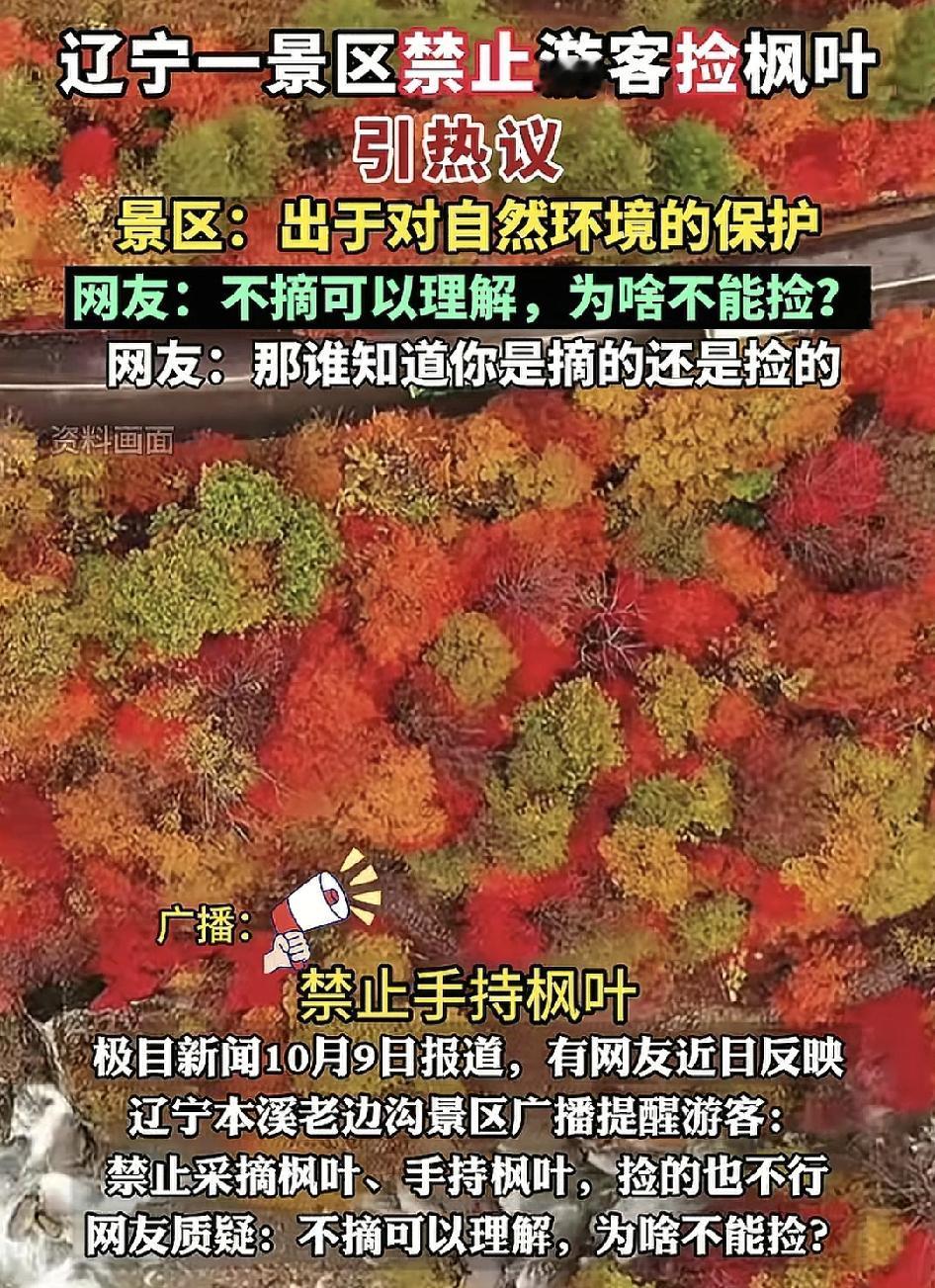 辽宁本溪一景区，广播里提醒游客不能摘枫叶，同时也不能捡地上落下来的枫叶。这样很多