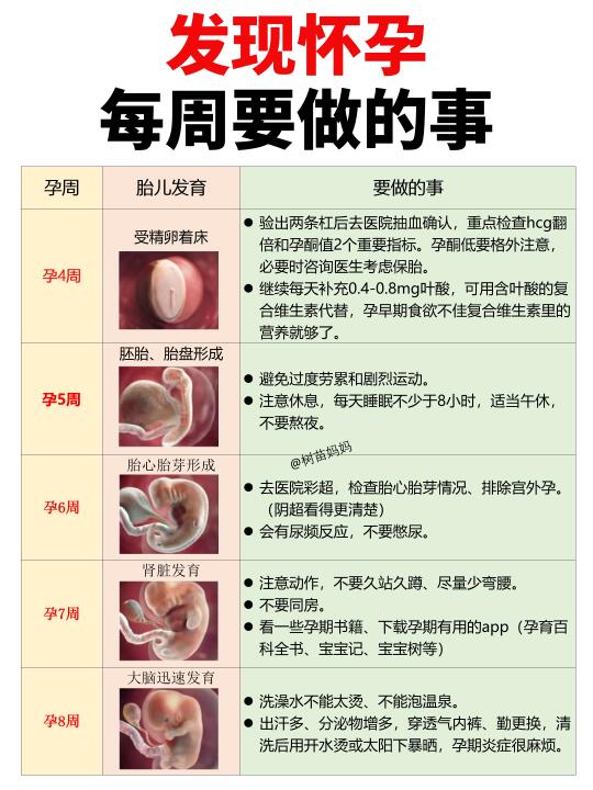 初次怀孕必看✅每周要做的事➕胎儿发育‼️
