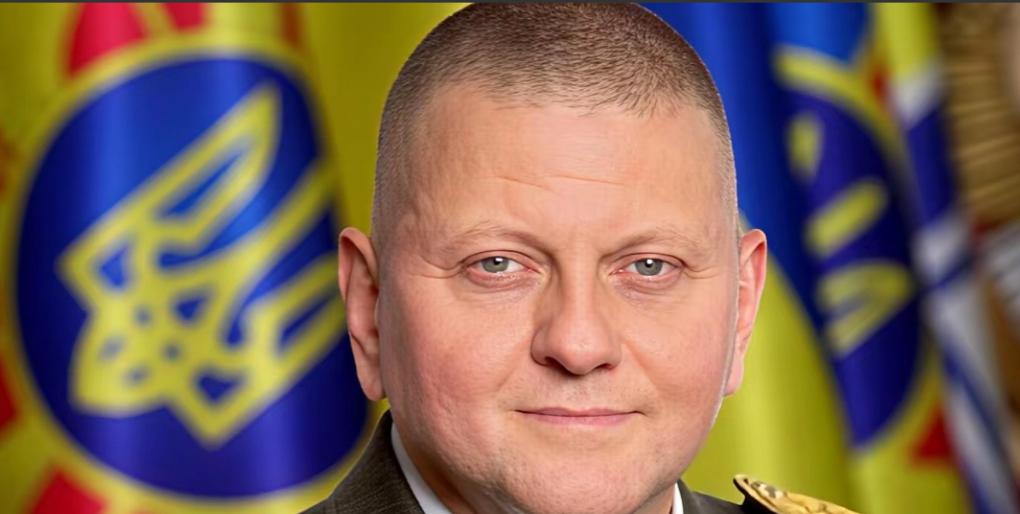 乌克兰前总司令扎卢日内放出的话，比前线的炮弹还让人后背发凉，他说俄乌这场仗要是真