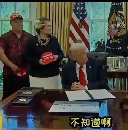 特朗普在任期间，是中国人民解放台湾，完成祖国统一大业的最佳时期，有人说，台湾是不