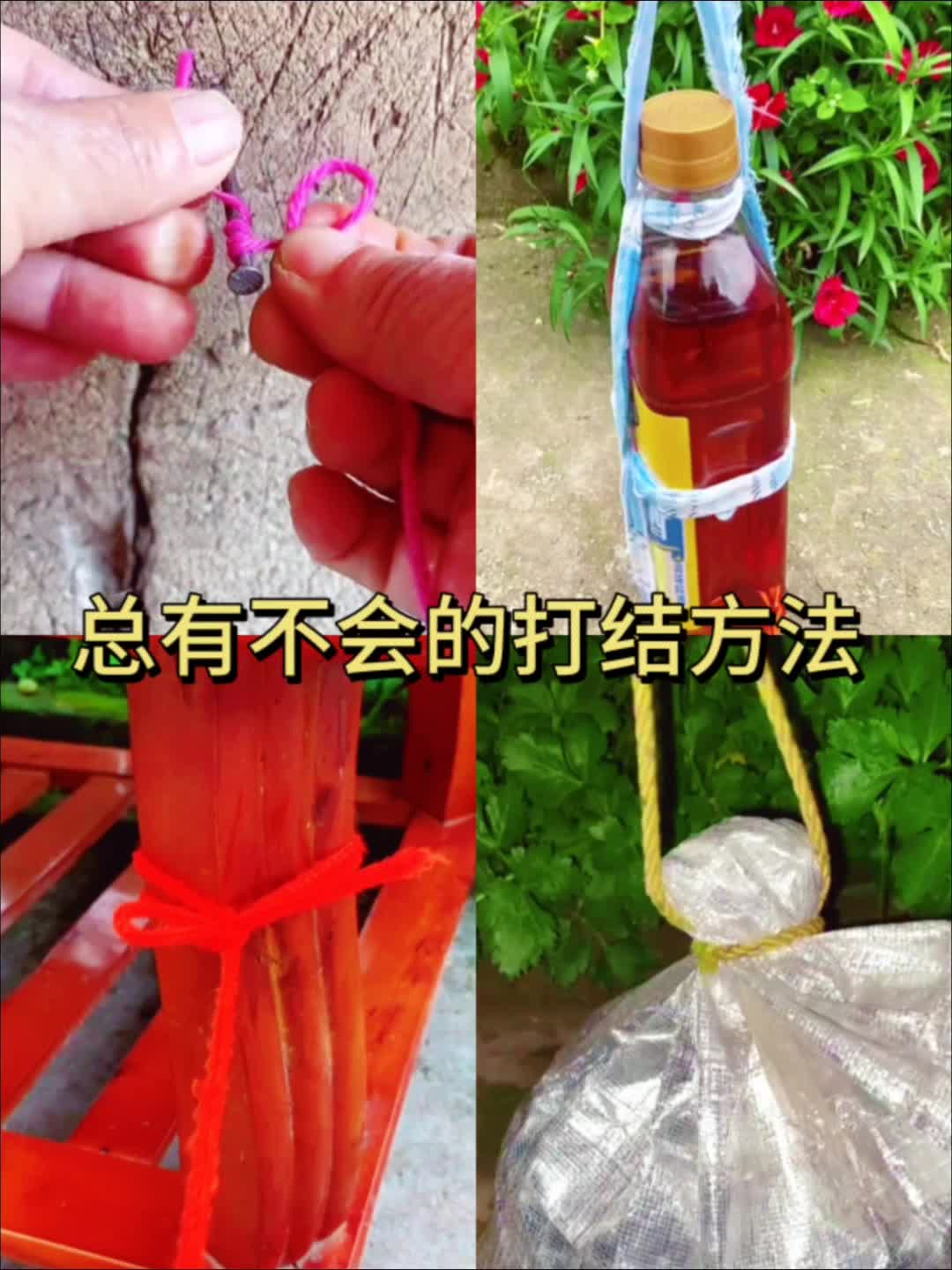 总也学不会，那就收藏起来慢慢看