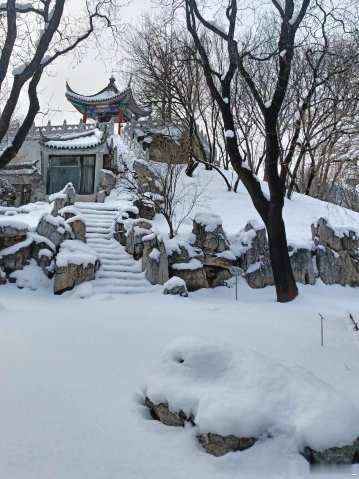 好像一朵朵冰淇淋❄️☃️一起来赏雪呀北京的鹅毛大雪