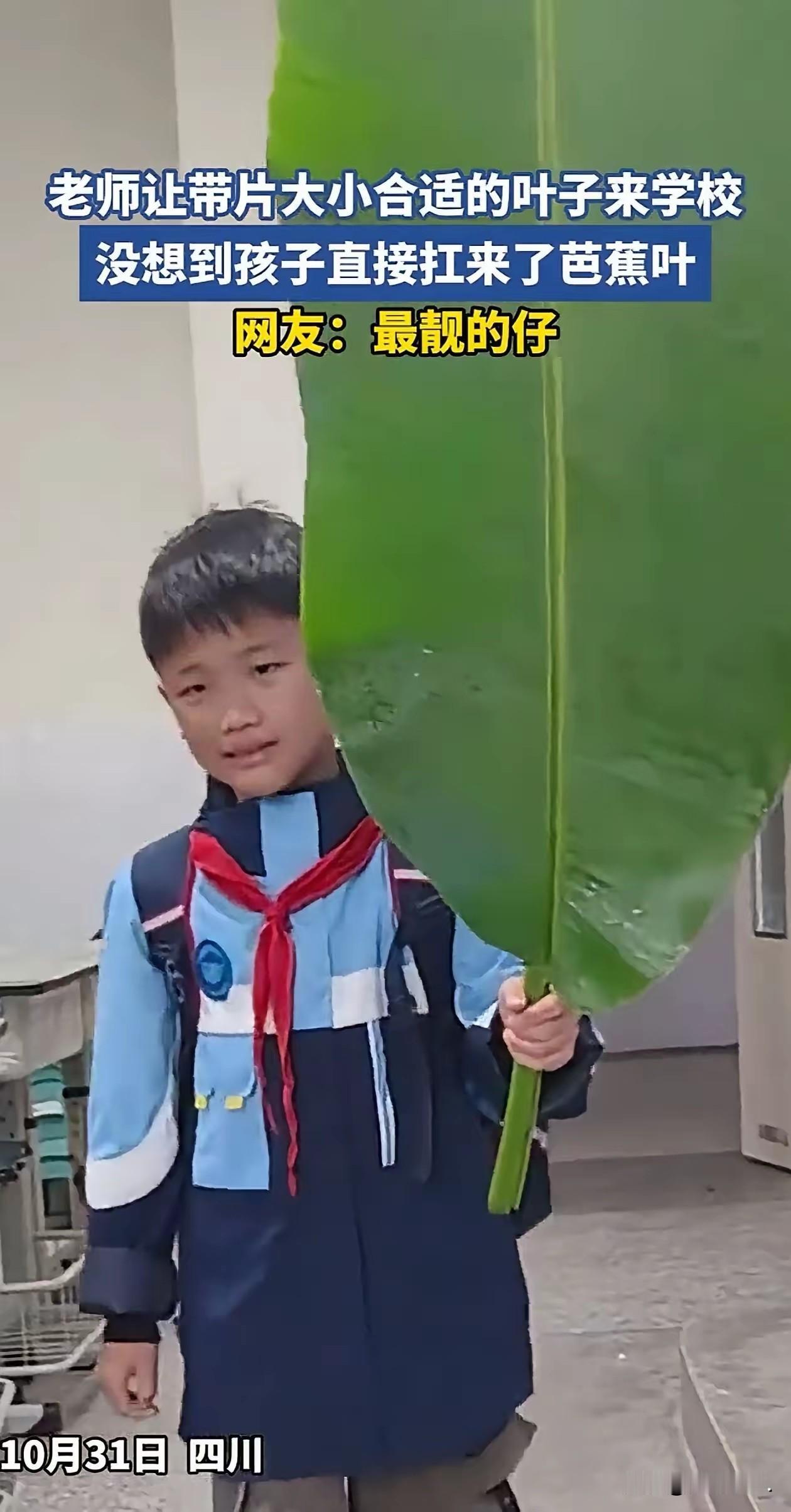 哈哈哈，这孩子也太实在了吧！最近四川有位老师布置了个特别简单的任务——让同学们带