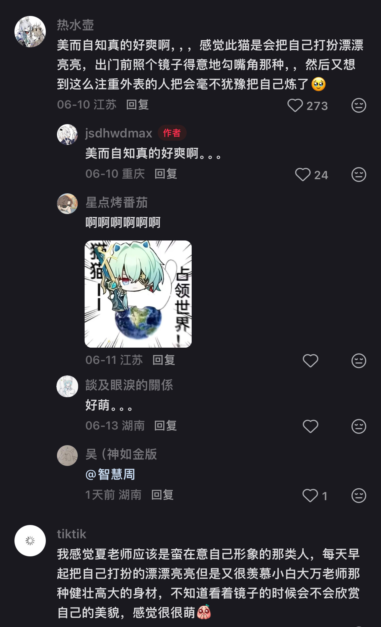 精致漂亮小猫🥰 
