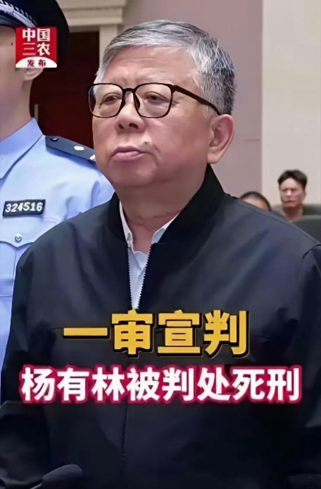 触目惊心！杨有林被判了死刑，22.14亿的受贿金额，登顶了中国公开判决中贪腐数额