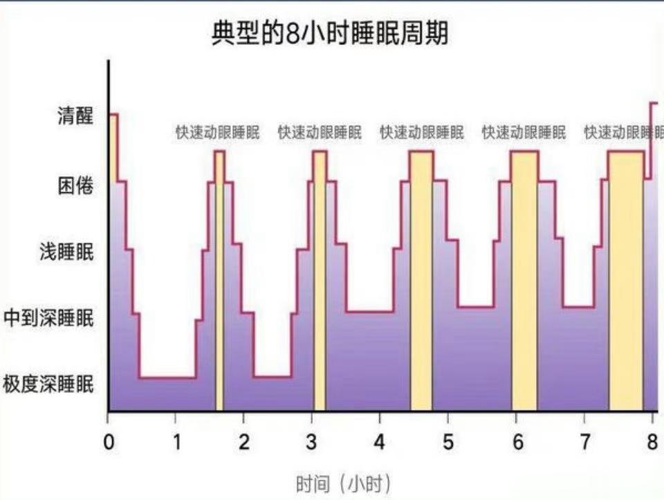 #睡够8小时不如睡得有规律##健闻登顶计划# 要睡够，也要睡好！[赞啊][赞啊]
