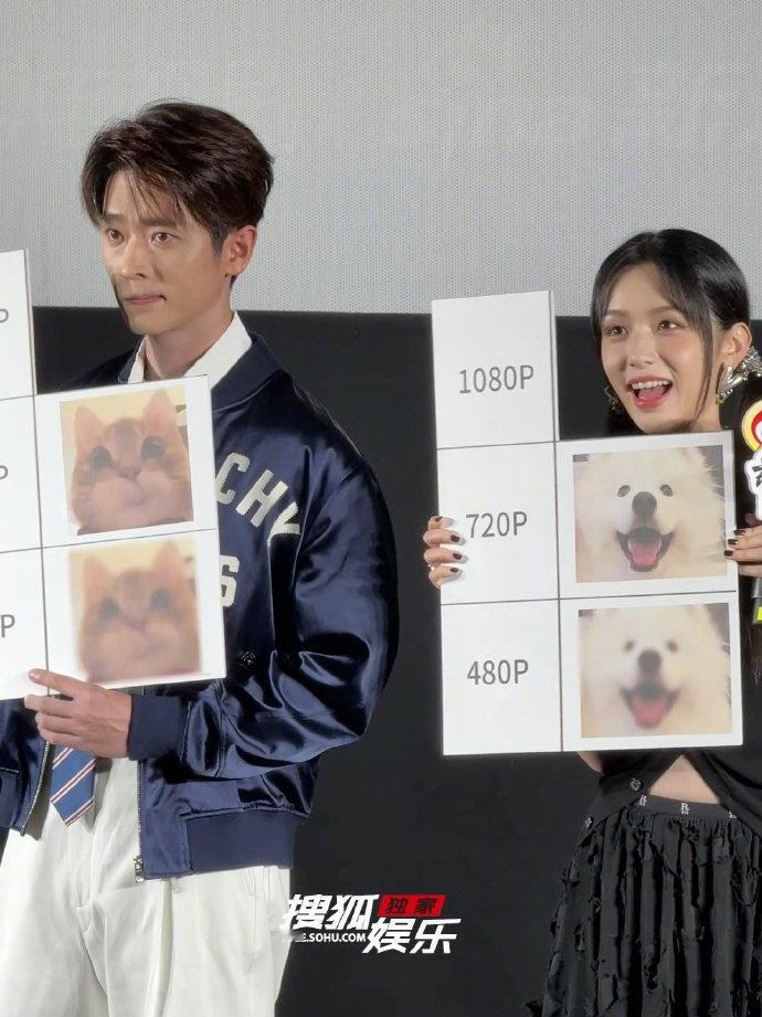 周也丞磊猫猫狗狗表情包，谁来懂一下周也、丞磊猫狗塑cp的含金量，这个周也丞磊咋能