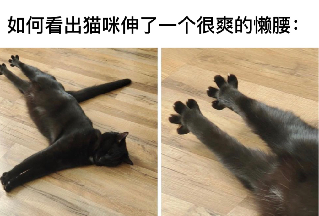 真爽到了#今日memes# //#龙年造梗大赛# ​​​