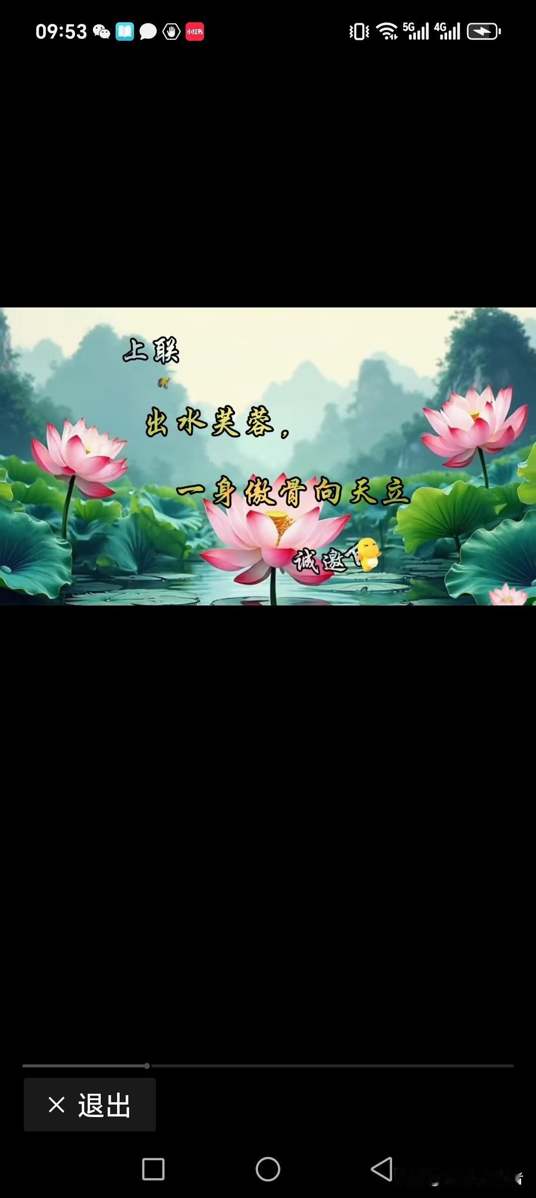 出水芙蓉，一身傲骨向天立
天身骄子，孑然一身水中央