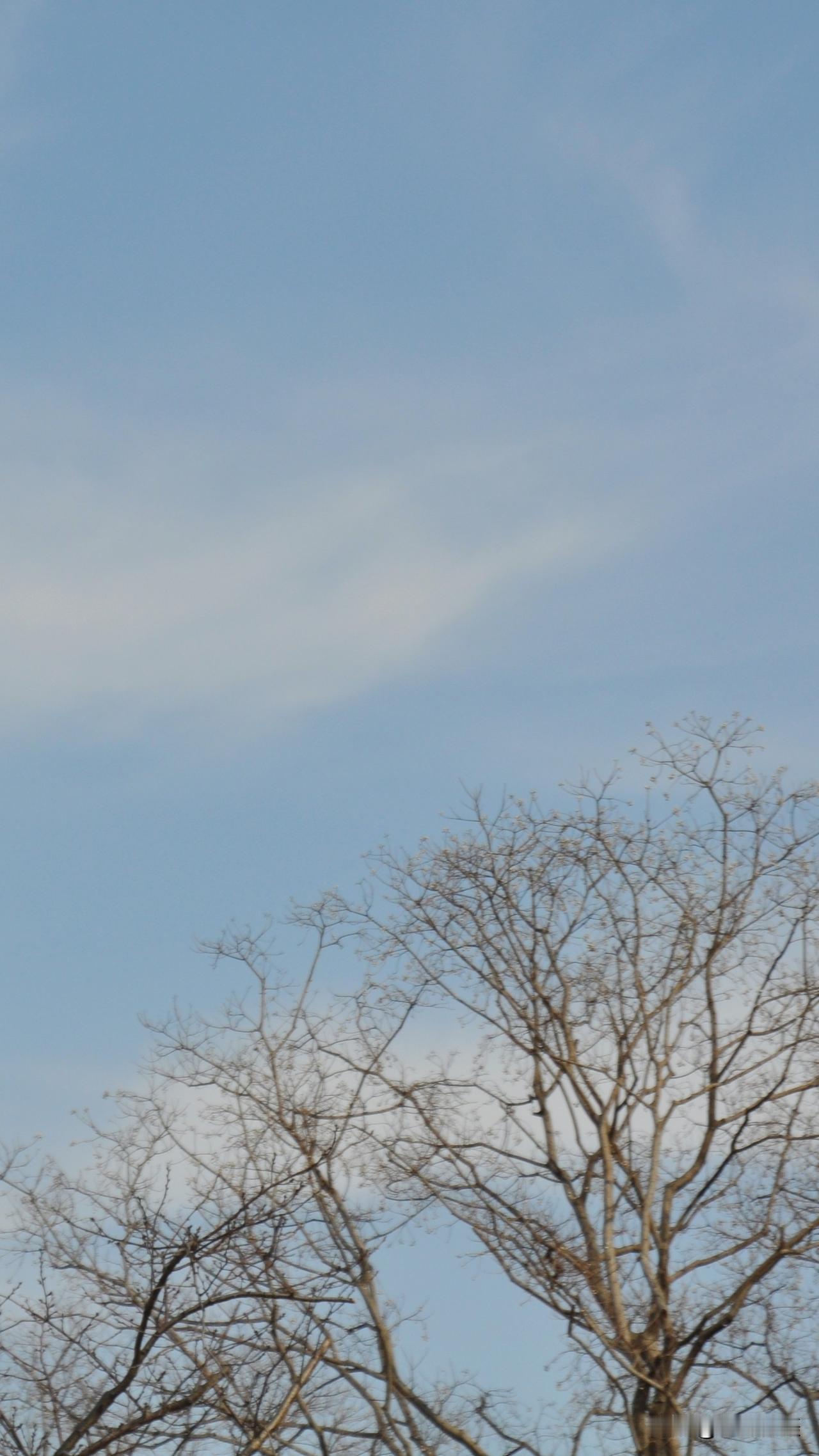 "大"字加一笔，你最先想到什么字"大"字加一笔，最先想到的是"天"字，"夫"字等