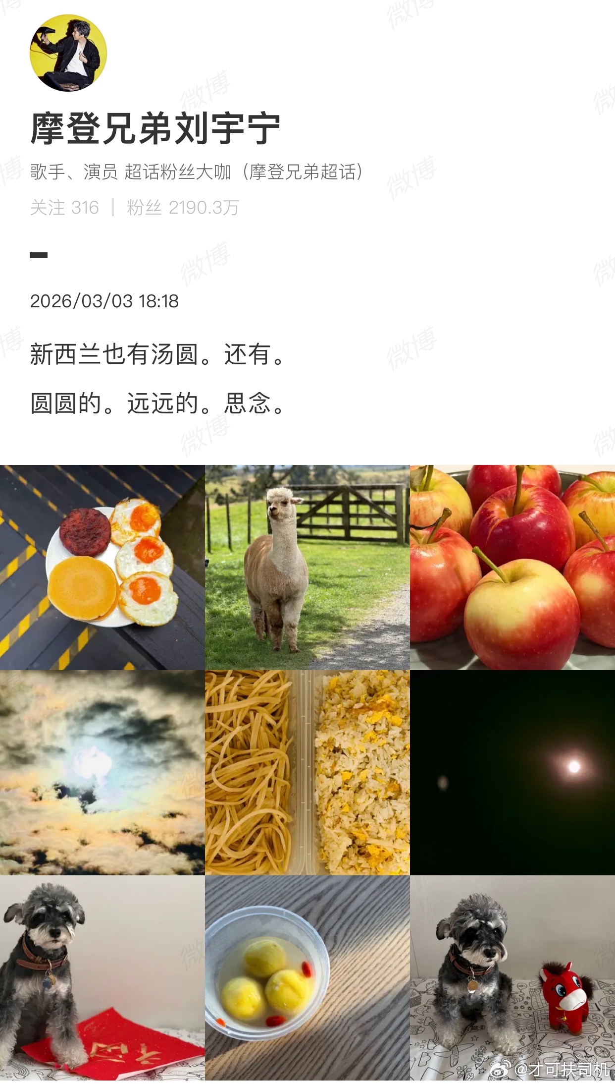 刘宇宁在新西兰吃汤圆了新西兰现在应该是夏天吧，那是不是意味着刘宇宁在夏天过元宵节
