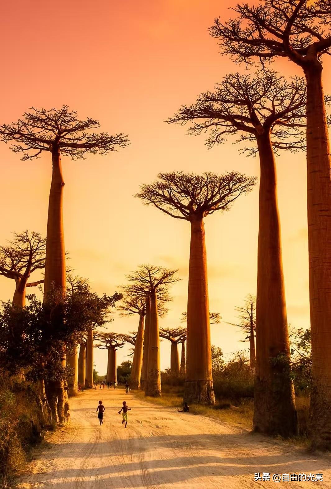 这个年刚刚过完，村里的年轻人又各奔东西，走的差不多了，喧闹一时的村庄，又恢复到往