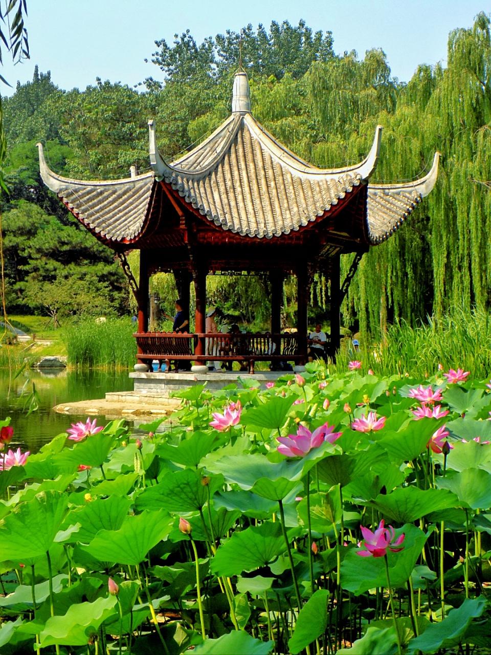 一剪梅 · 五月风光
     
晋水泉山五月芳。花点红妆。云舞霓裳。亭台烟树沐