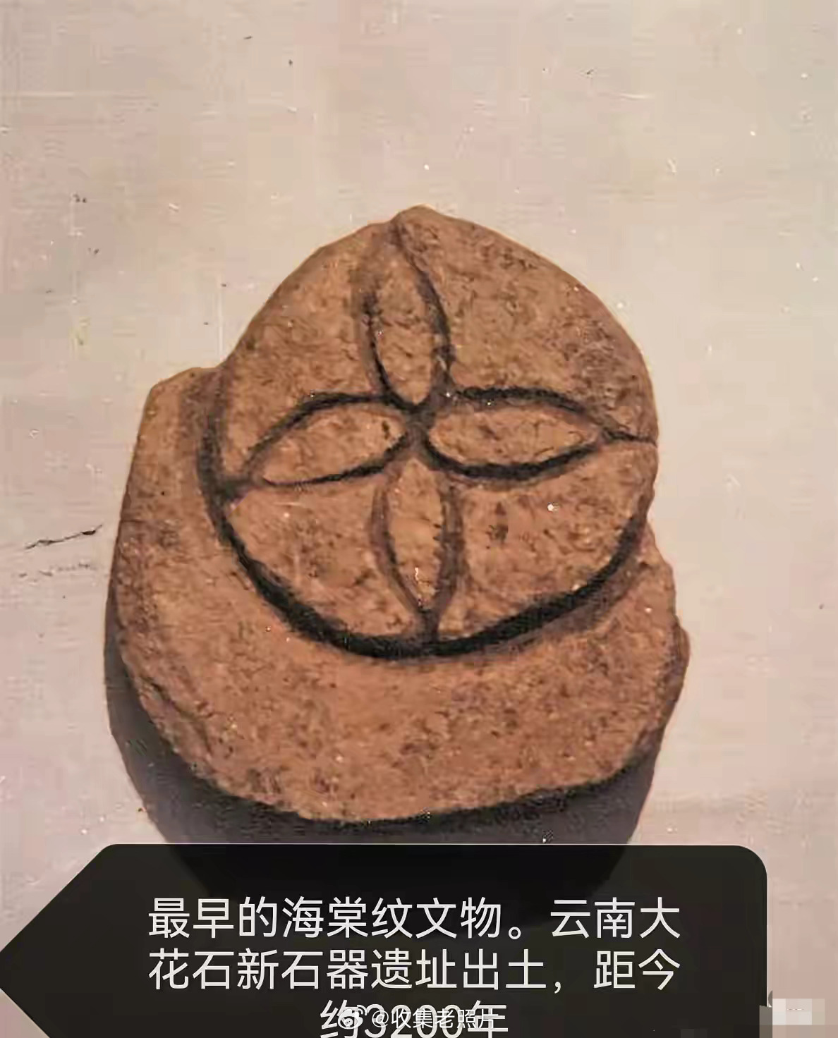 中国最早的海棠纹文物，出现在3200年前。所以说LV那种图案，根本站不住脚。