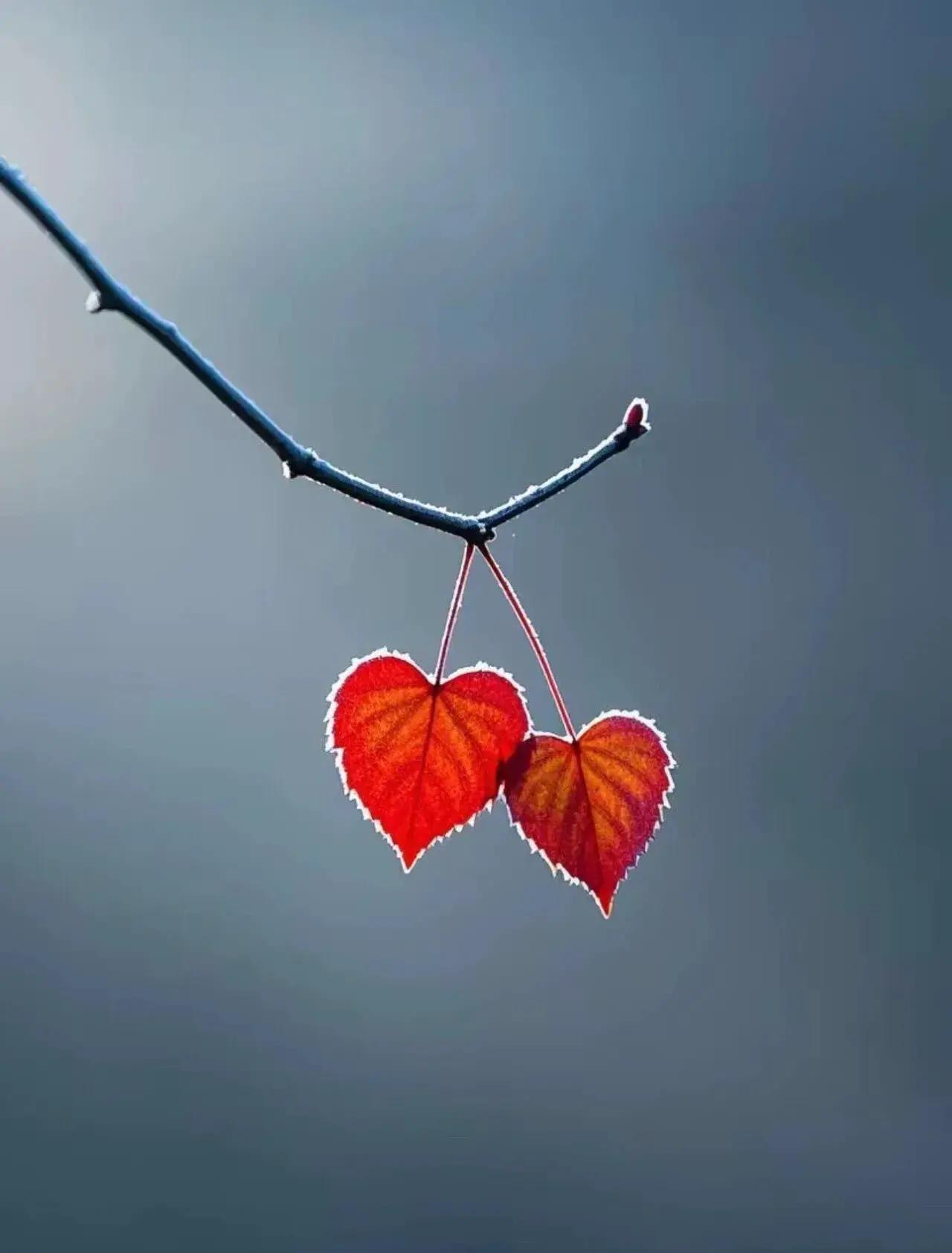 真正的感情从来不是谁一直低头认怂，而是两个人互相体谅、一起往前走。

2026年