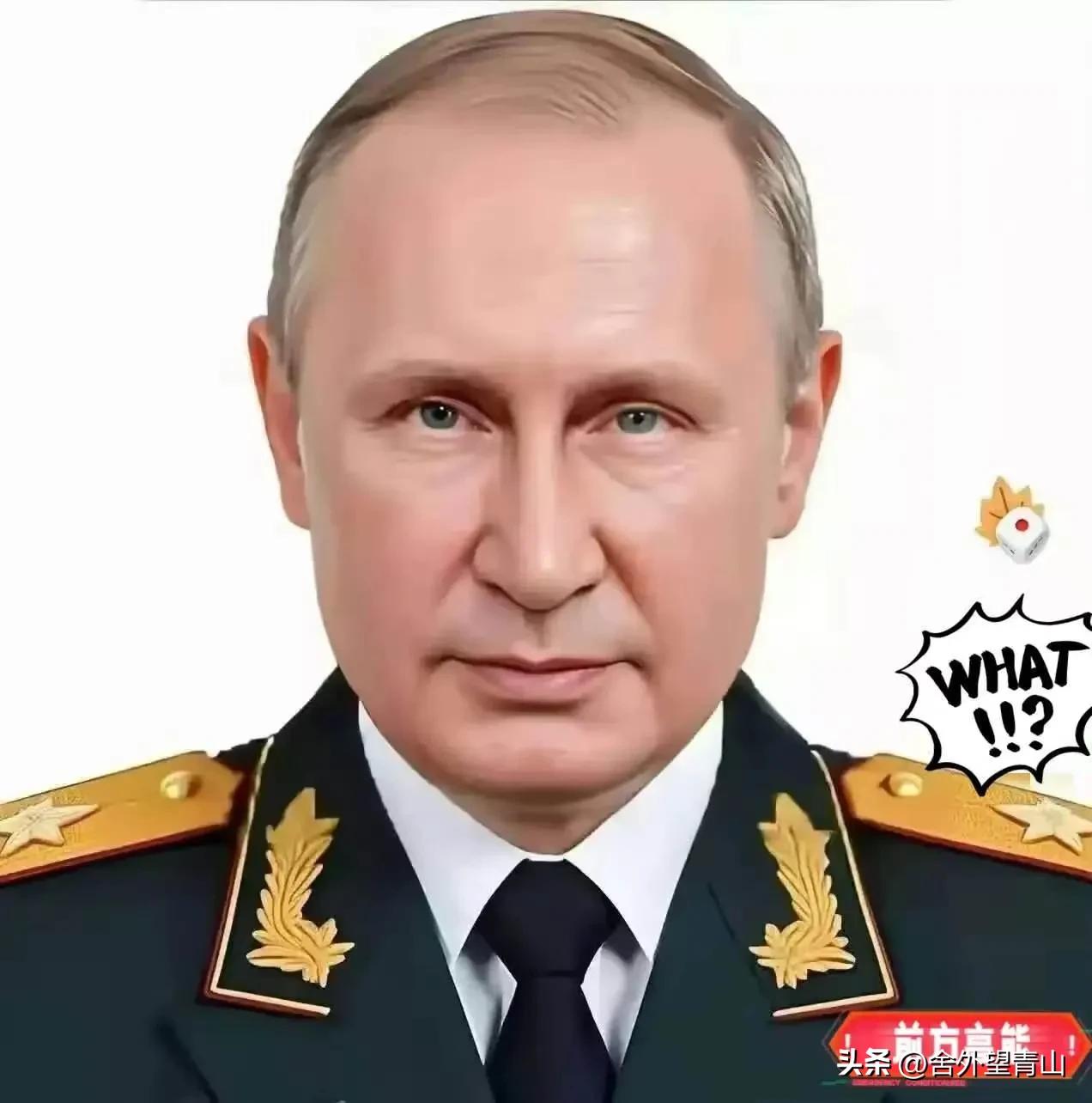 俄罗斯消息
普京总统公开表态：
2026年3月5日，俄罗斯总统普京公开表示，俄罗