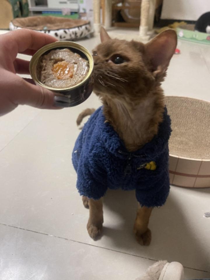 第三枚腿毛喂喂胡萝卜币出现！