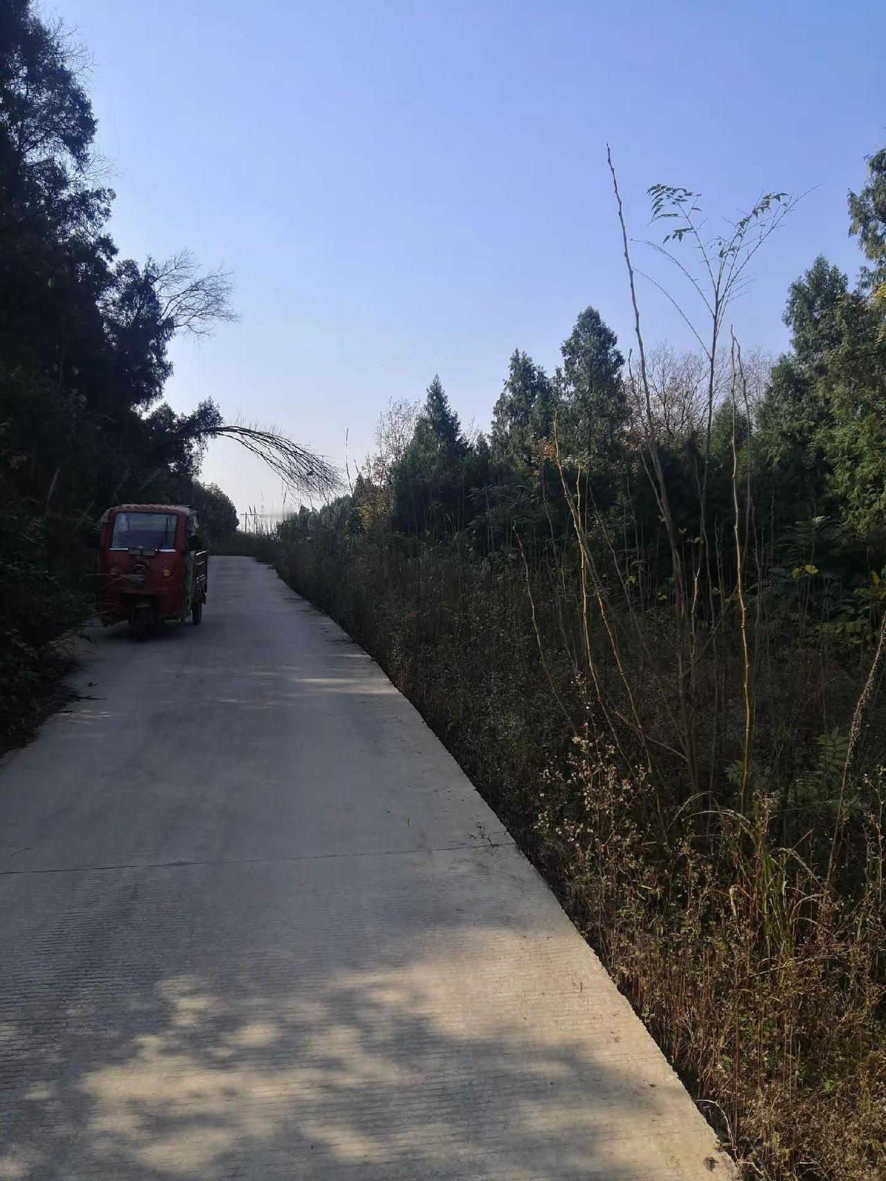 沱江泛舟 农村公路 记录我的卡车生活 乡村路 山上美景