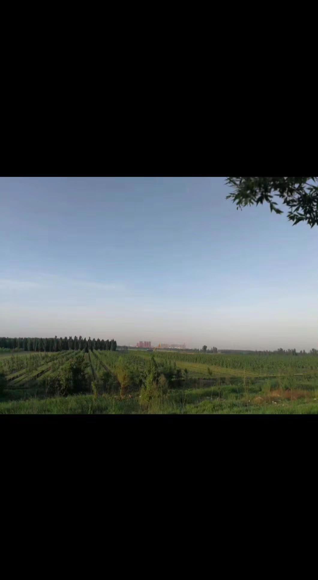 小城因地处蓄滞洪区 因而与水结下不解之缘 从古至今视察水患 是小城接近各级要员的