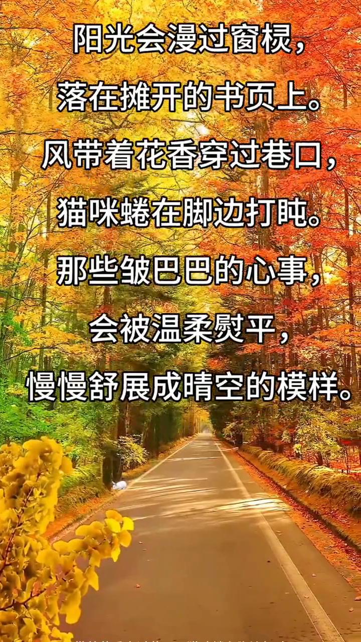 阳光会漫过窗棂，落在摊开的书页上。风带着花香穿过巷口，猫咪蜷在脚边打盹。那些皱巴