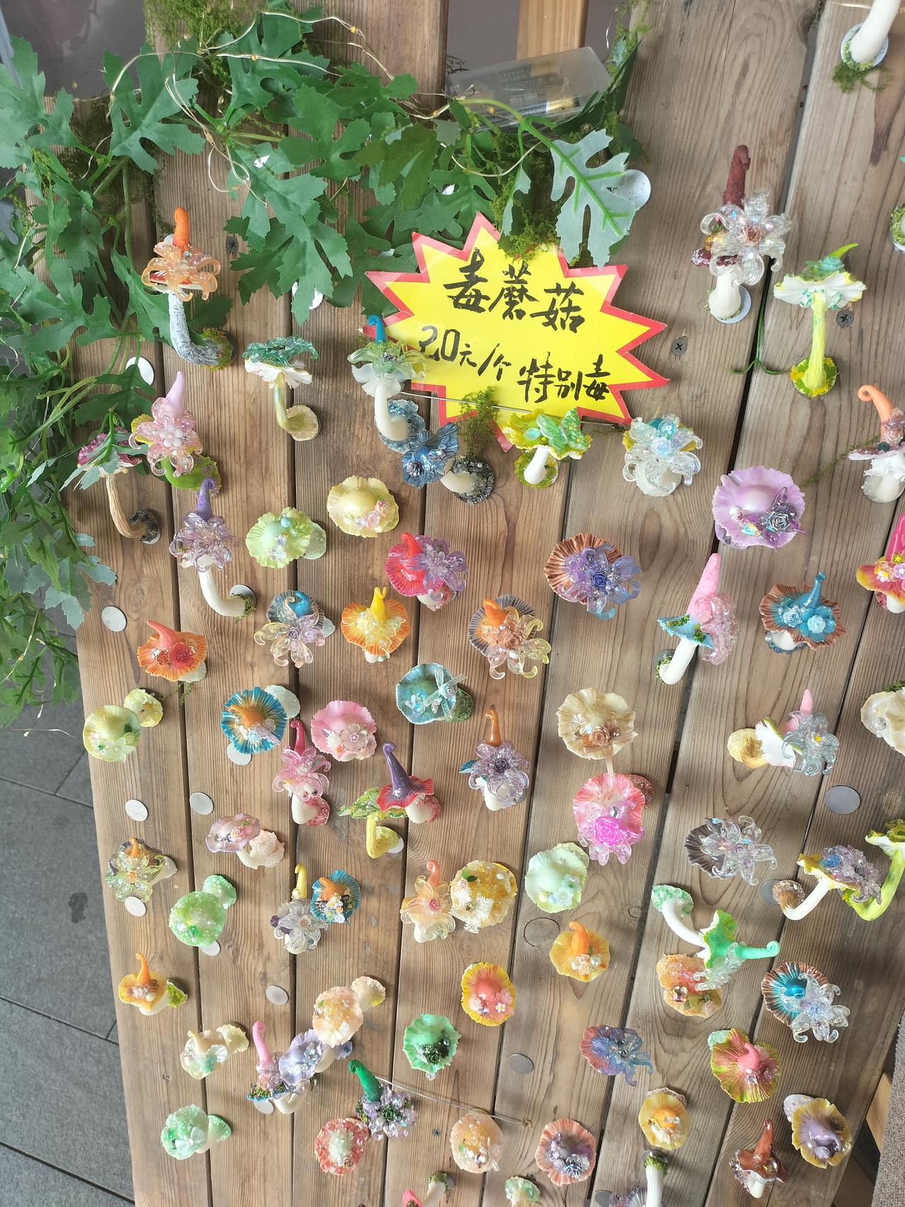 在廊坊市水云间，发现有商店卖毒蘑菇，还备注是特别毒的，这不怕儿童买了中毒吗？ 蘑