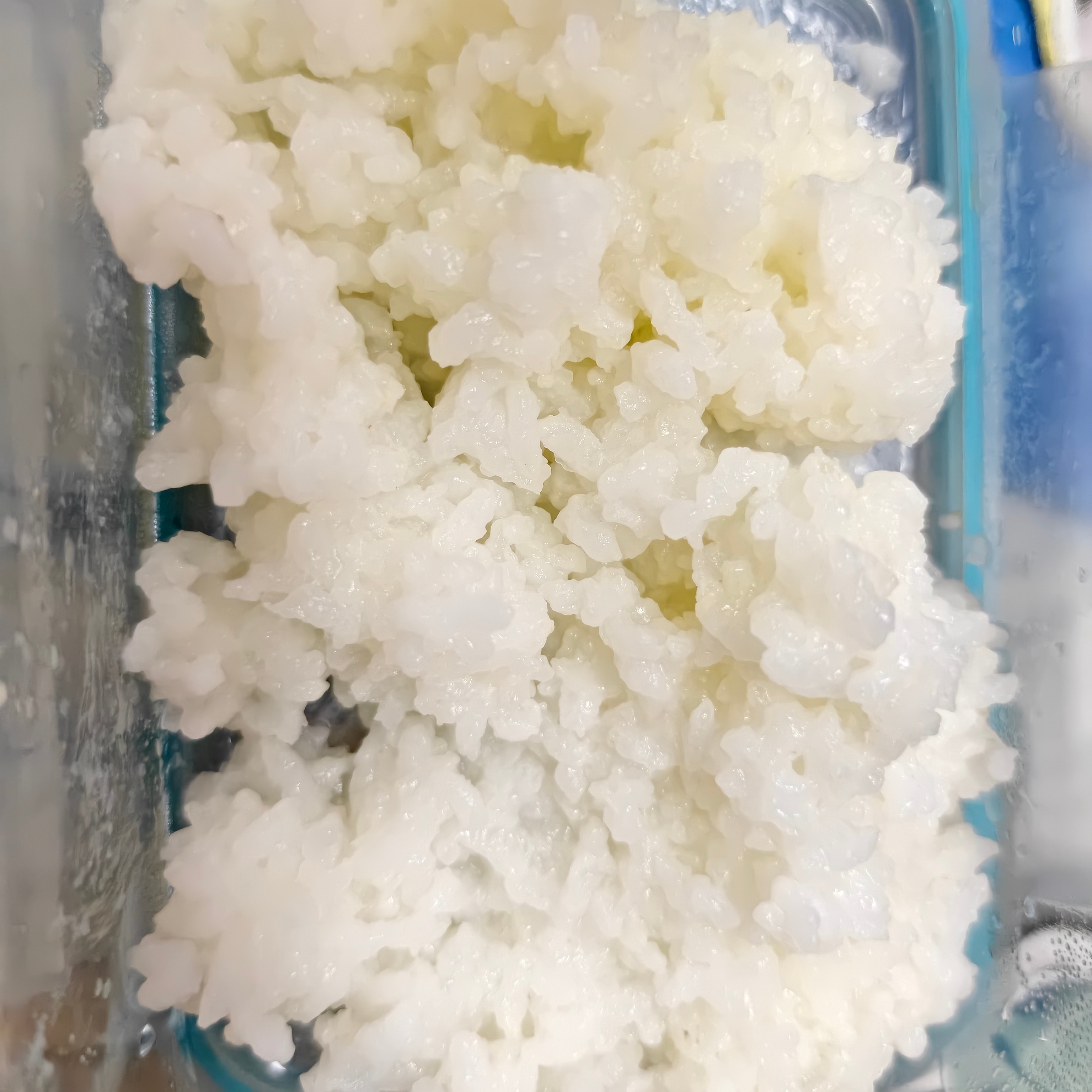 粉丝先吃 