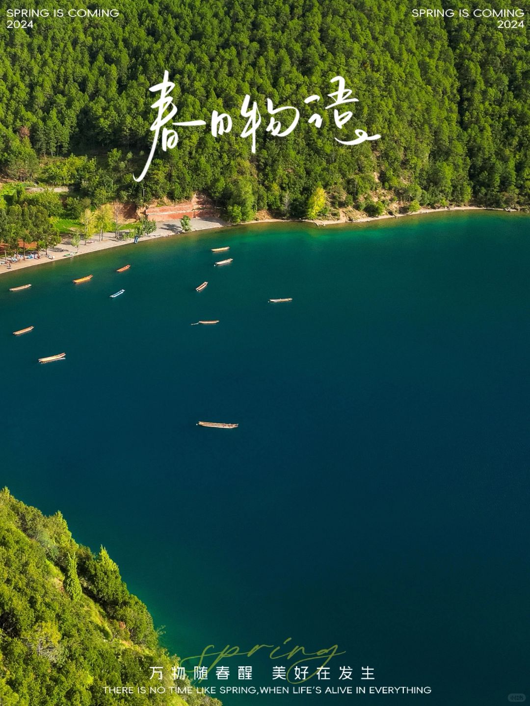 上春山⛰️原来泸沽湖最美春色🍃竟不在云南