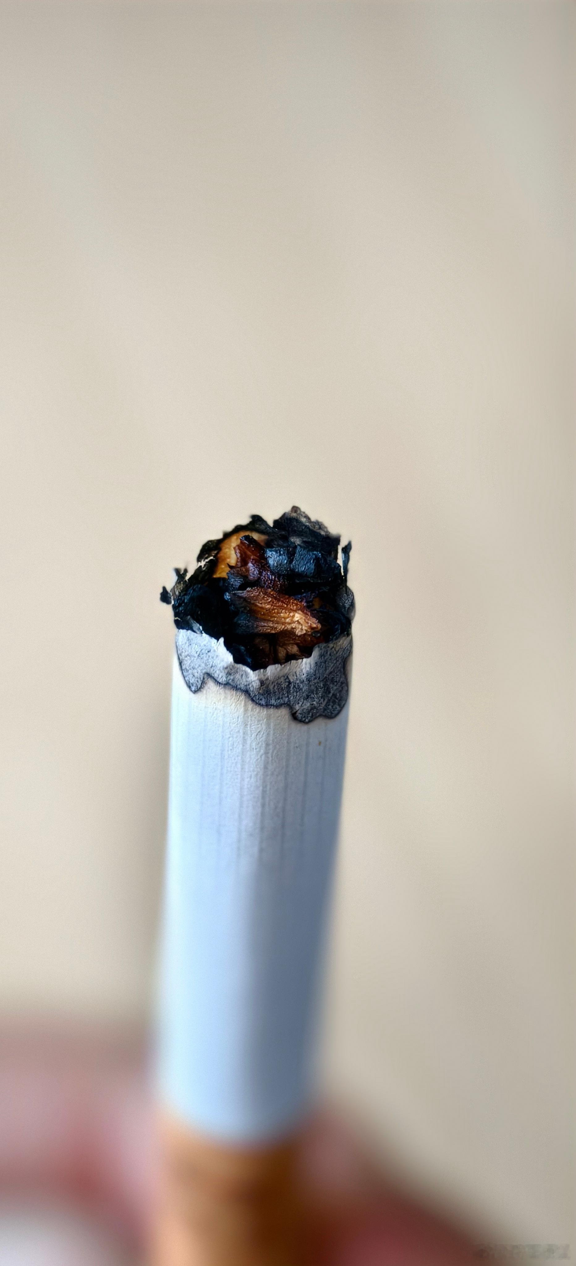 玉溪的烟会呛喉吗？来个懂的给我解答一下，弹烟灰断了。。。中国烟草 我先去换一包 