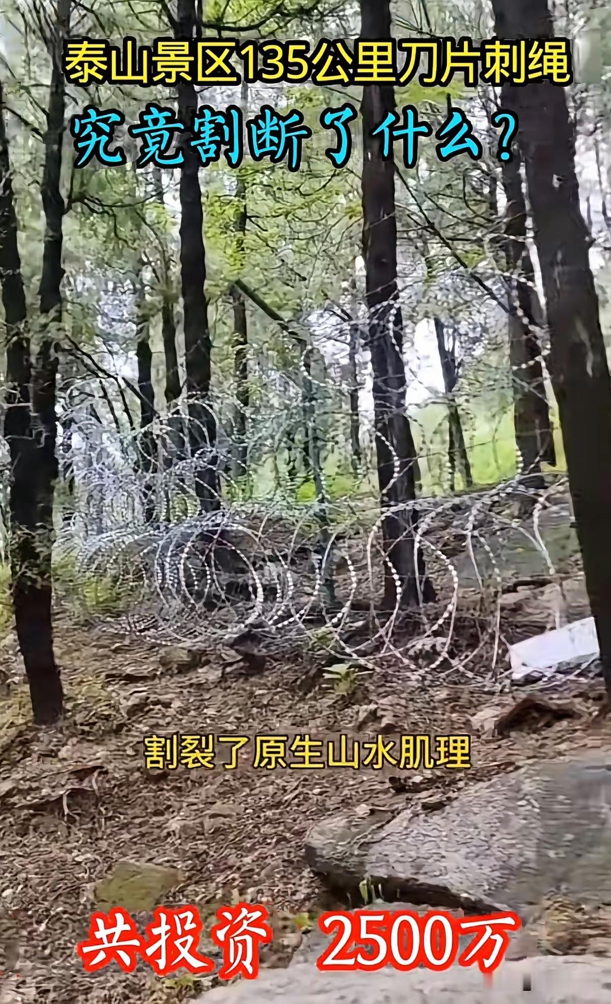 自秦始皇封禅泰山以来，

此处一直未曾修建防护设施。

如今当地部门办成了一件难
