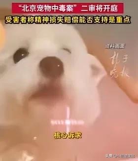 北京李女士的宠物狗中毒案，至2025年12月10日已经第九次延期审判。

202